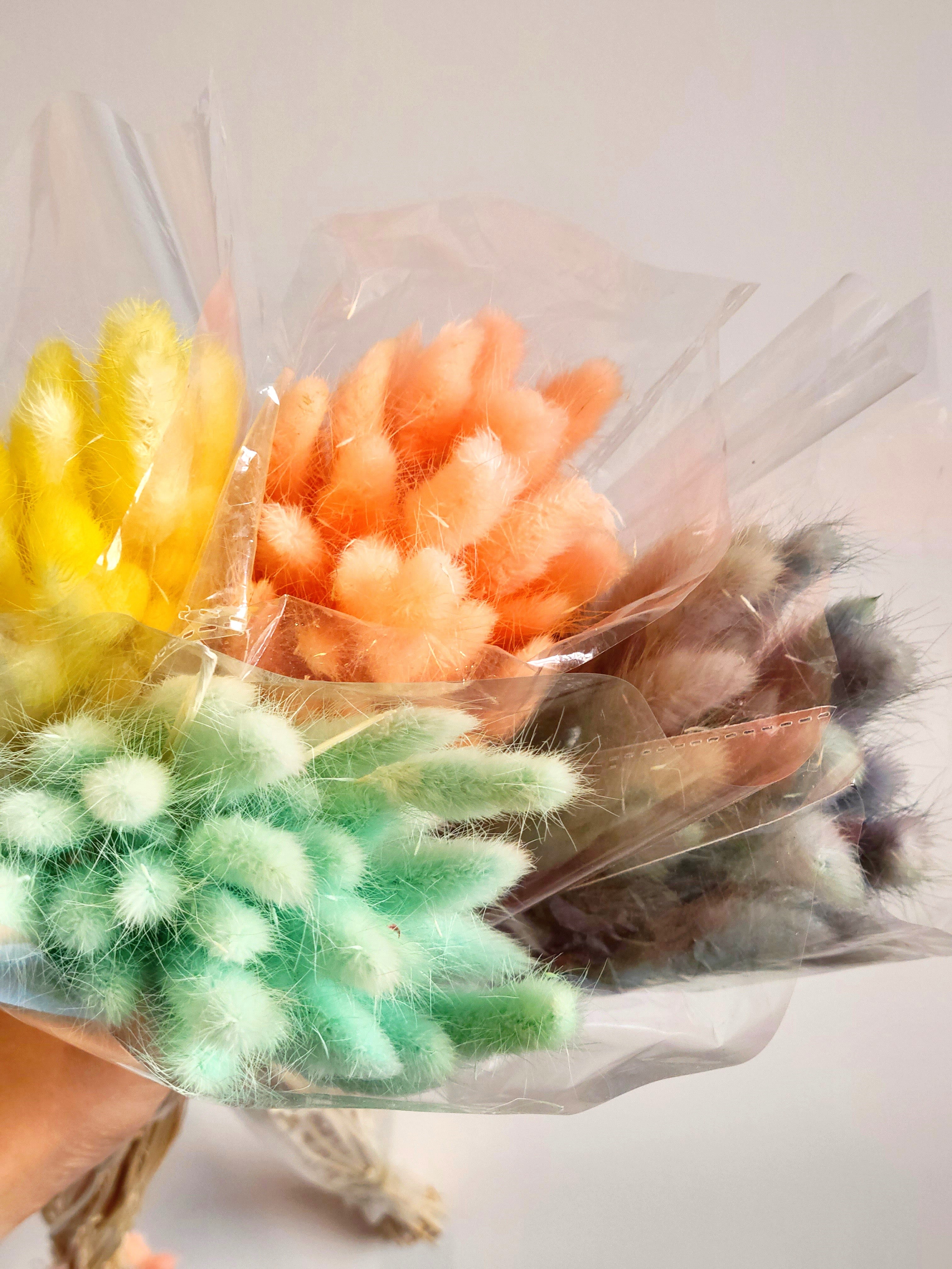 BUNNY TAILS BUNDLE