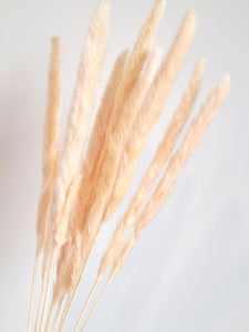 MINI PAMPAS BUNDLE SOFT PEACH