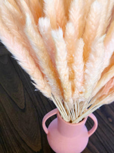 MINI PAMPAS BUNDLE SOFT PEACH