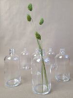 Load image into Gallery viewer, SMALL CLEAR GLASS BOTTLE VASE
