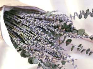 LAVENDER & EUCALYPTUS BUNDLE