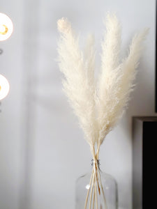 PAMPAS GRASS No.1 OFF WHITE