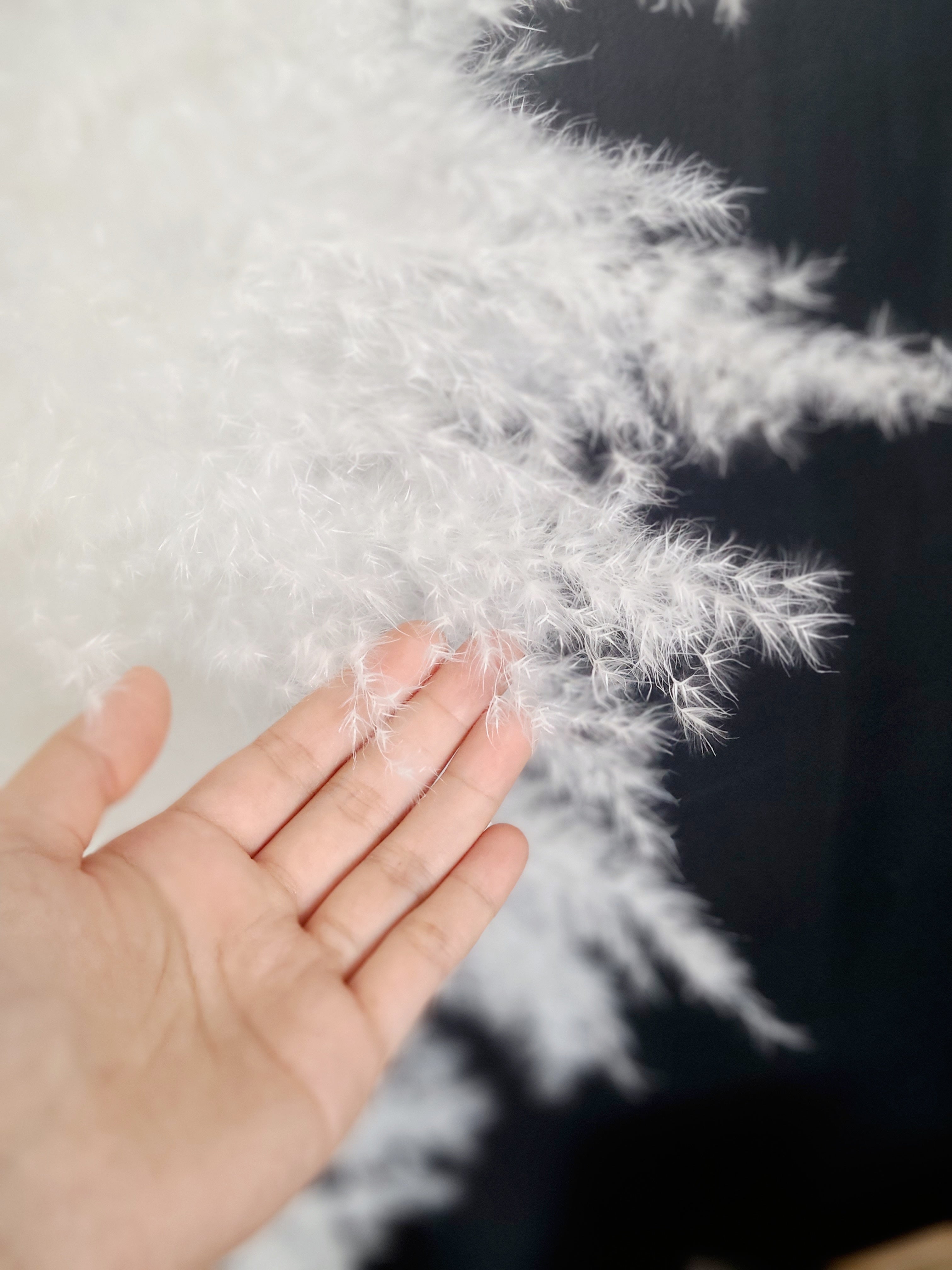 SNOW WHITE GIANT PAMPAS GRASS No.07