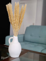 Load image into Gallery viewer, MINI PAMPAS BUNDLE NATURAL
