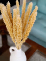 Load image into Gallery viewer, MINI PAMPAS BUNDLE NATURAL
