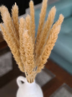 Load image into Gallery viewer, MINI PAMPAS BUNDLE NATURAL
