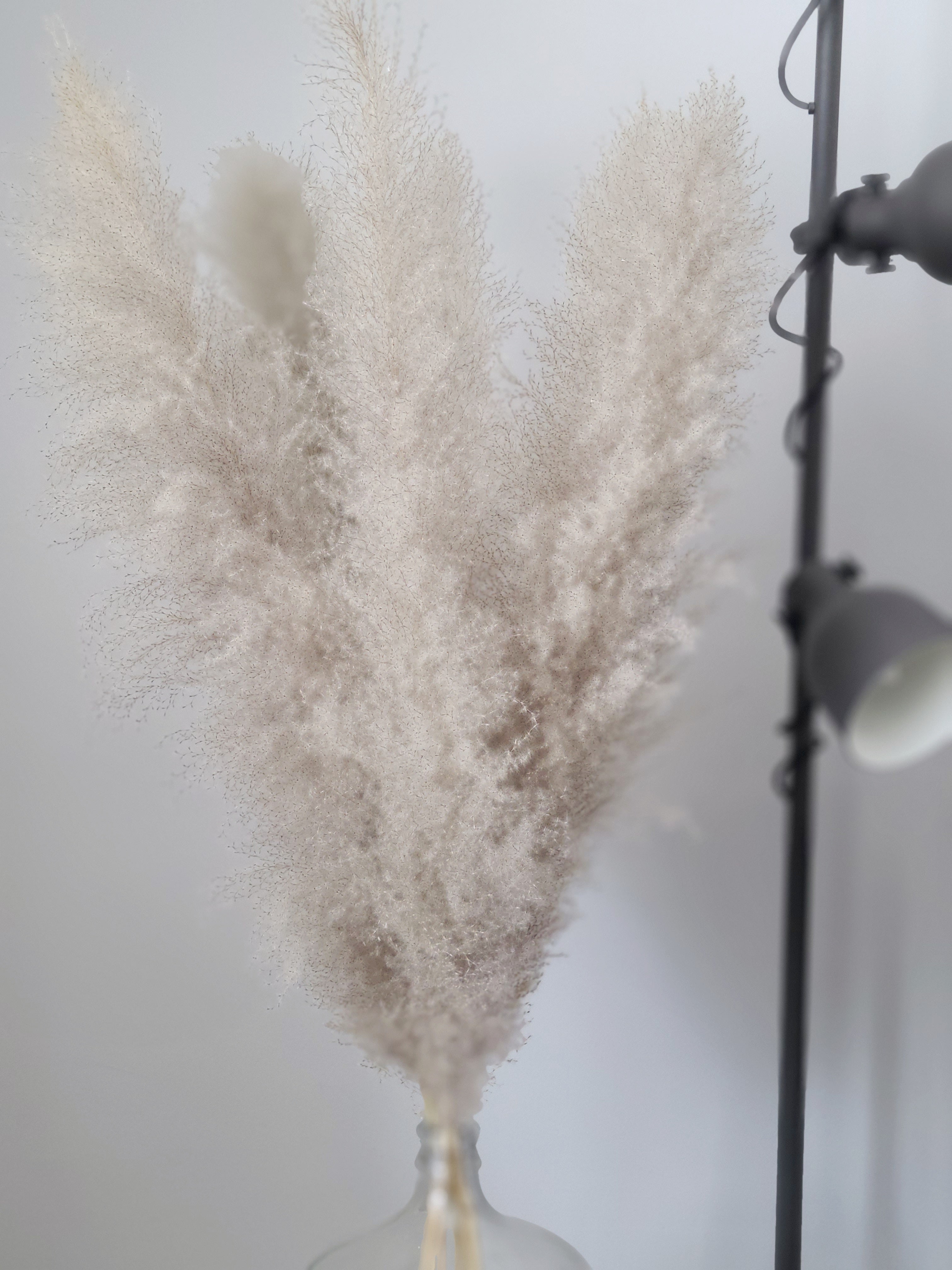 SUPER PAMPAS No.08 DUSTY GREY 150cm/60"