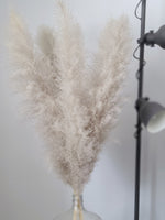 Load image into Gallery viewer, SUPER PAMPAS No.08 DUSTY GREY 150cm/60&quot;
